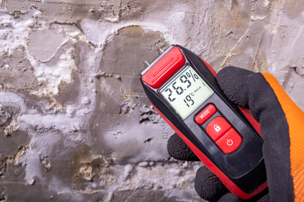 Best Mold Removal Specialists  in Ashburn, VA